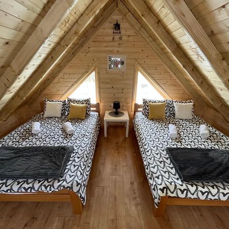 Brvnare Madera Banja Zdrelo Villa Ngoại thất bức ảnh
