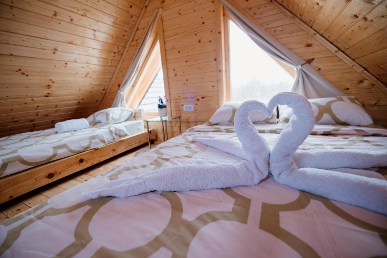 Brvnare Madera Banja Zdrelo Villa Ngoại thất bức ảnh