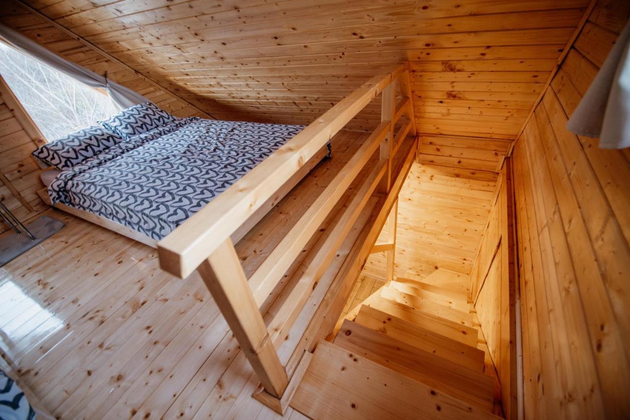 Brvnare Madera Banja Zdrelo Villa Ngoại thất bức ảnh