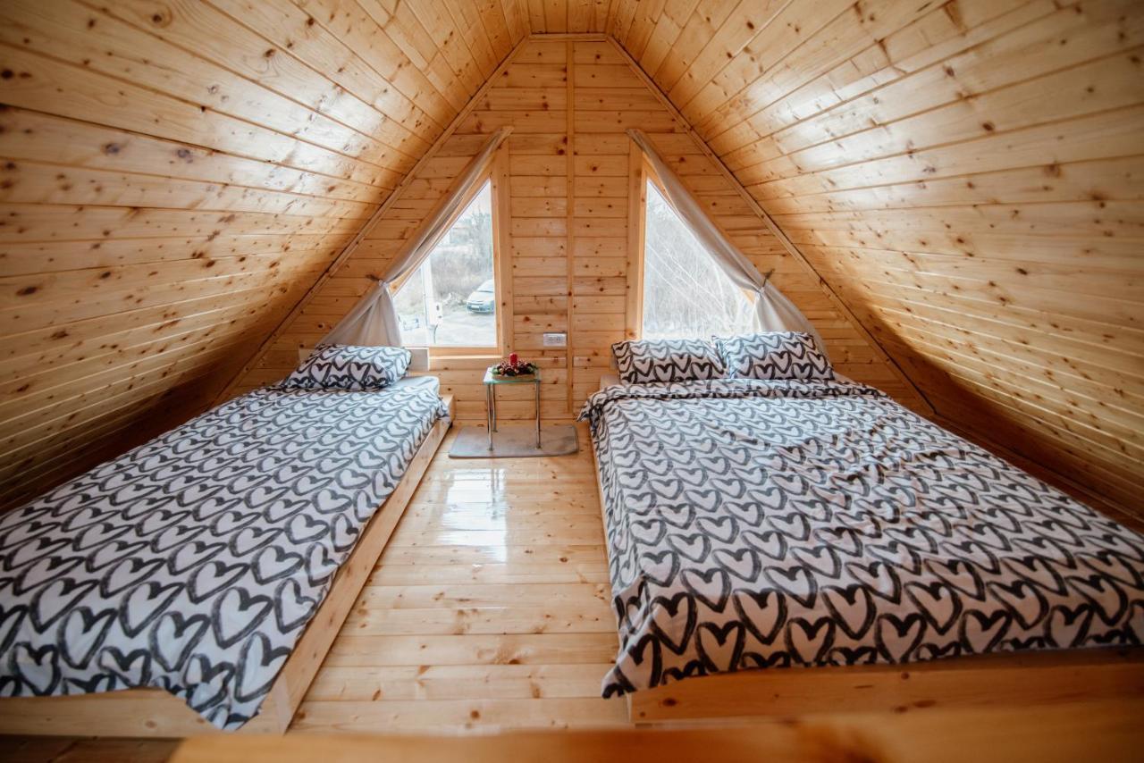 Brvnare Madera Banja Zdrelo Villa Ngoại thất bức ảnh