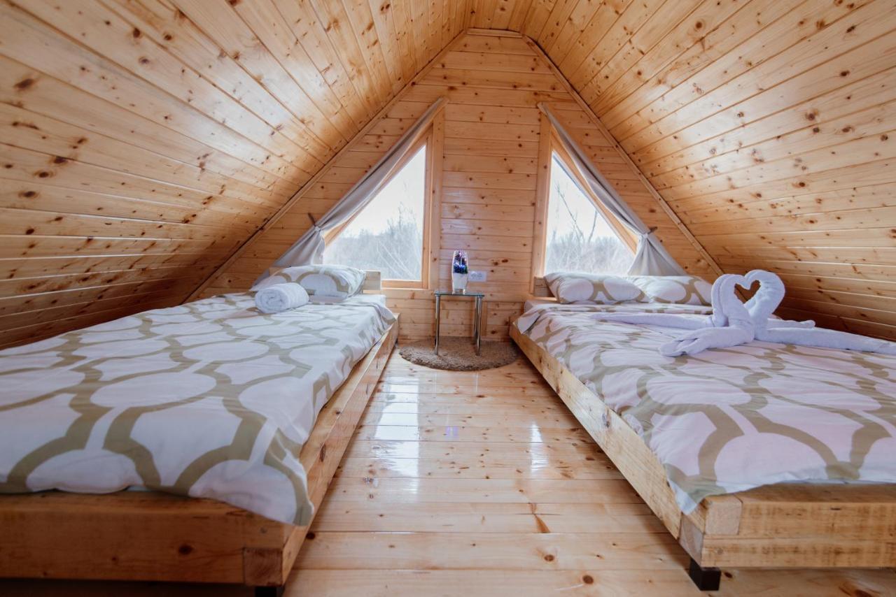 Brvnare Madera Banja Zdrelo Villa Ngoại thất bức ảnh