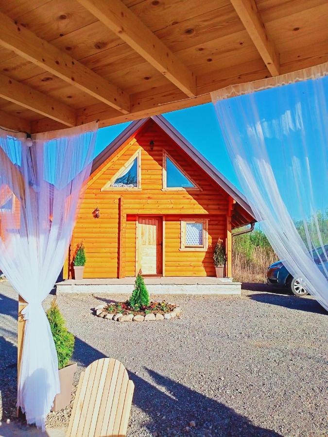 Brvnare Madera Banja Zdrelo Villa Ngoại thất bức ảnh