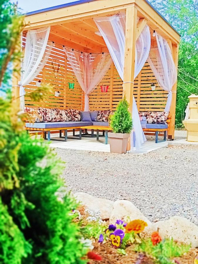Brvnare Madera Banja Zdrelo Villa Ngoại thất bức ảnh