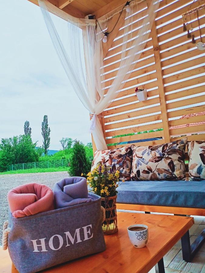 Brvnare Madera Banja Zdrelo Villa Ngoại thất bức ảnh