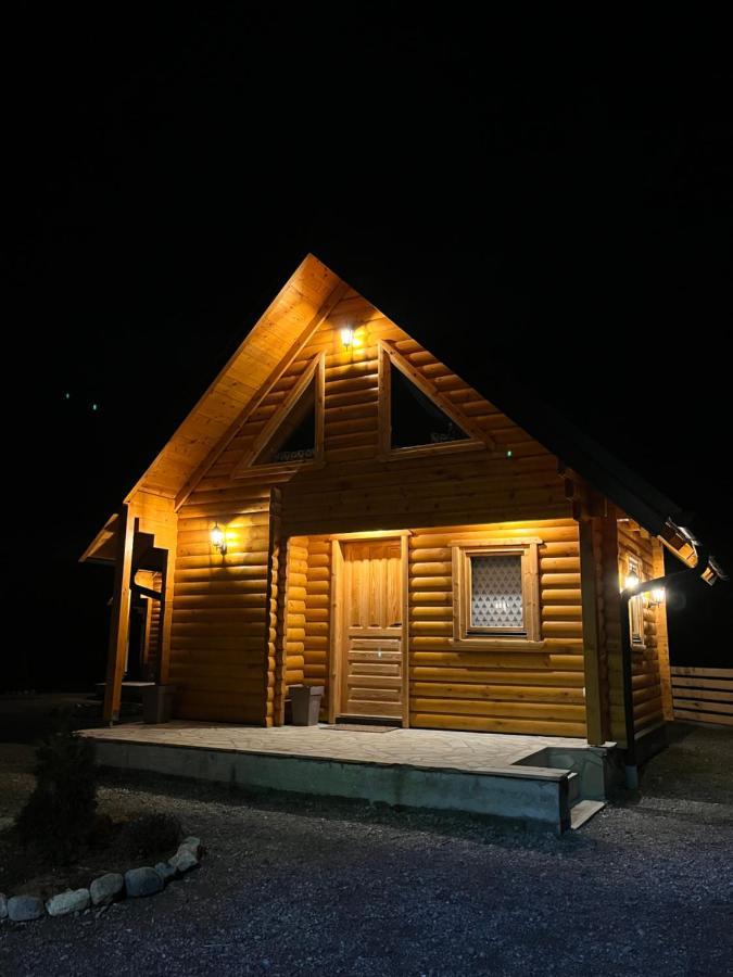 Brvnare Madera Banja Zdrelo Villa Ngoại thất bức ảnh