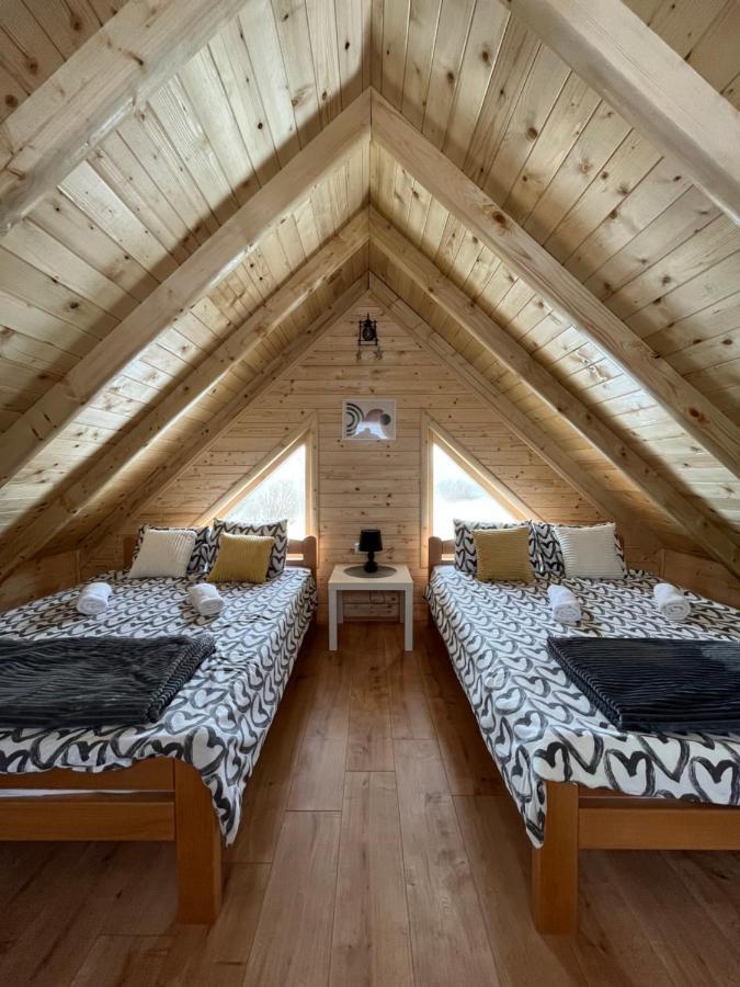 Brvnare Madera Banja Zdrelo Villa Ngoại thất bức ảnh